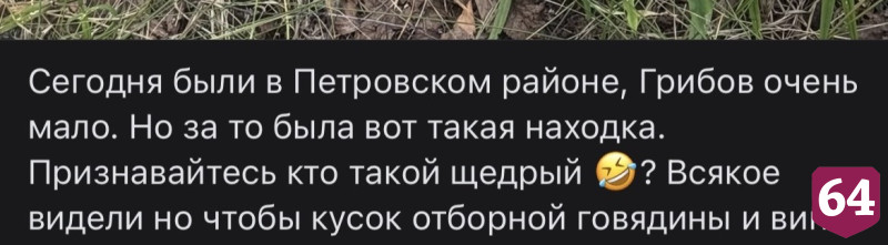 Саратовские грибники нашли в лесу отборную говядину и вино